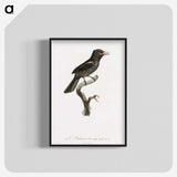 1-95_Des-Oiseaux-de-Paradis_blk-crop
