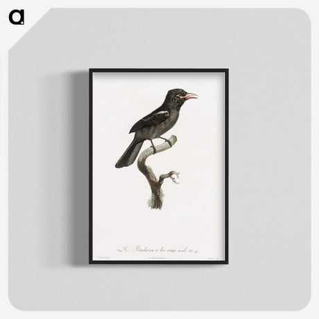 1-95_Des-Oiseaux-de-Paradis_blk-crop