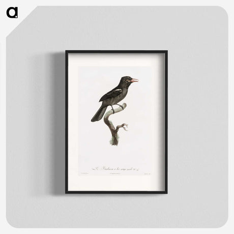 1-95_Des-Oiseaux-de-Paradis_blk