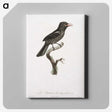 1-95_Des-Oiseaux-de-Paradis_canvas