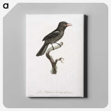 1-95_Des-Oiseaux-de-Paradis_canvas