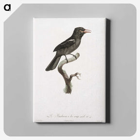 1-95_Des-Oiseaux-de-Paradis_canvas