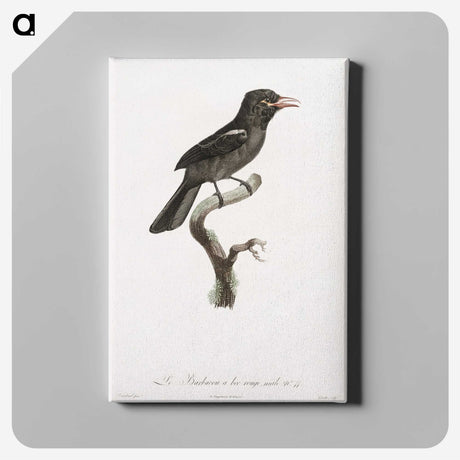 1-95_Des-Oiseaux-de-Paradis_canvas