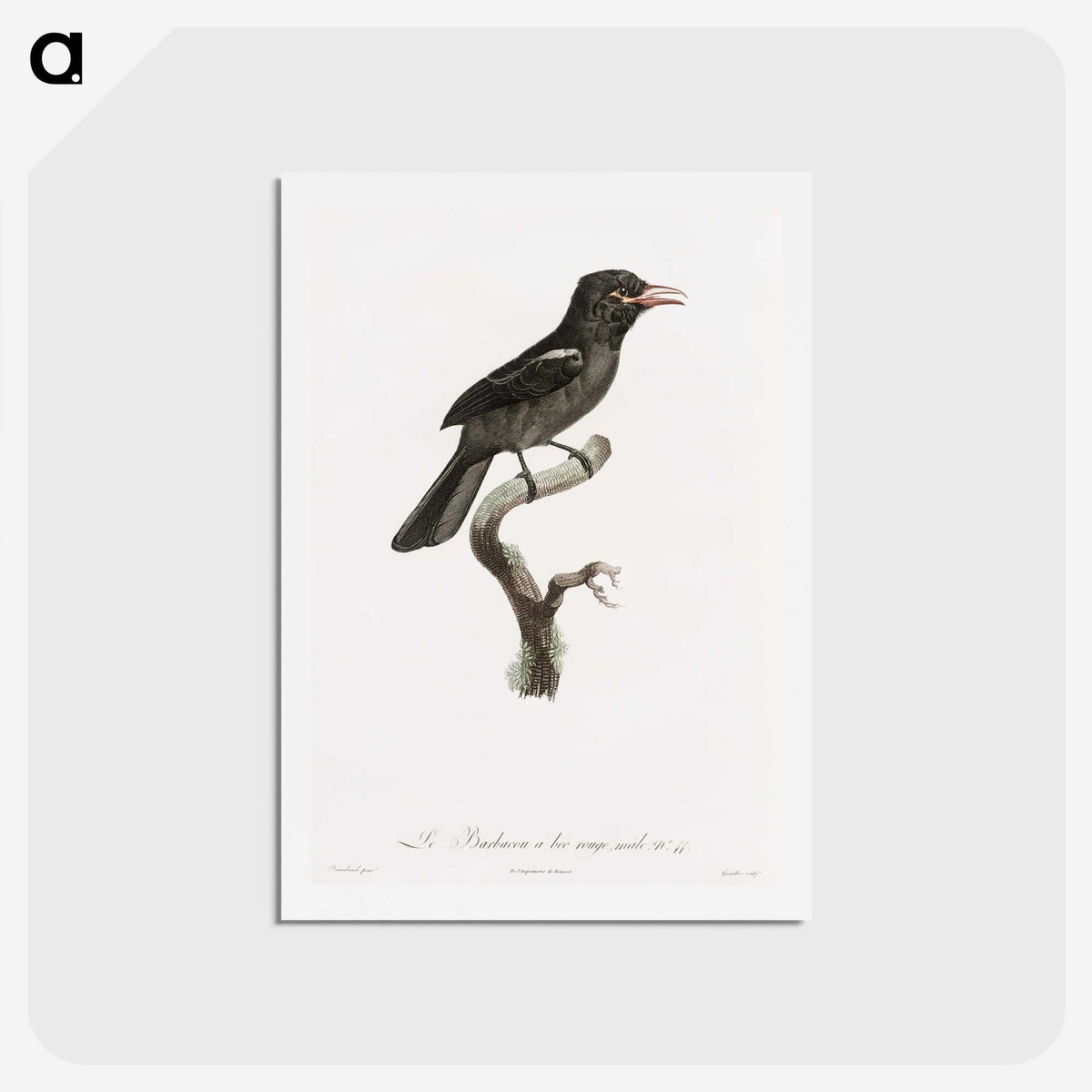 1-95_Des-Oiseaux-de-Paradis_hagaki