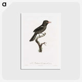 1-95_Des-Oiseaux-de-Paradis_hagaki