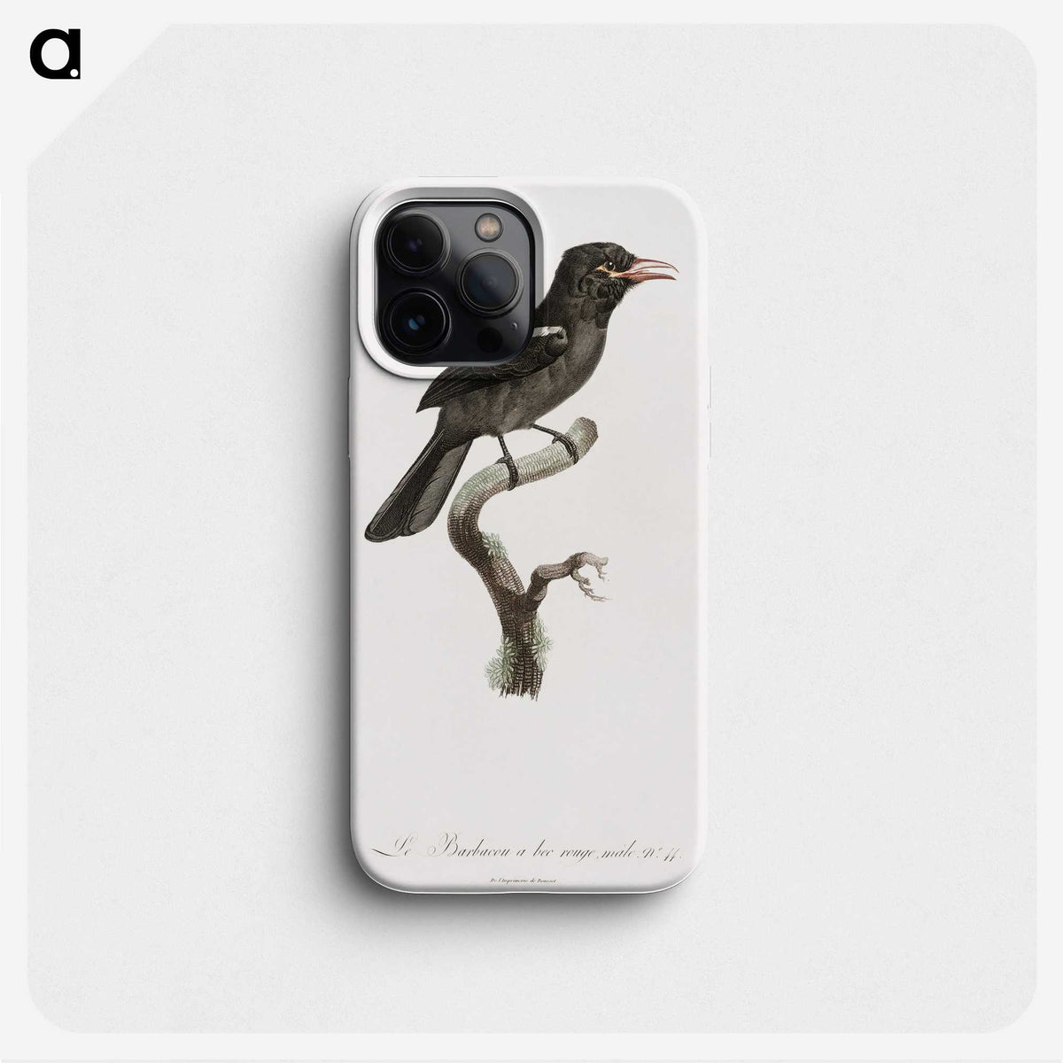 1-95_Des-Oiseaux-de-Paradis_phone