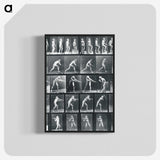 1-95_Eadweard-Muybridge_blk-crop