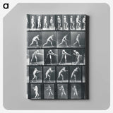 1-95_Eadweard-Muybridge_canvas