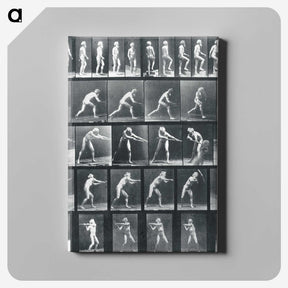 1-95_Eadweard-Muybridge_canvas