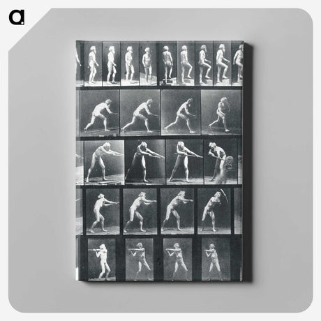 1-95_Eadweard-Muybridge_canvas