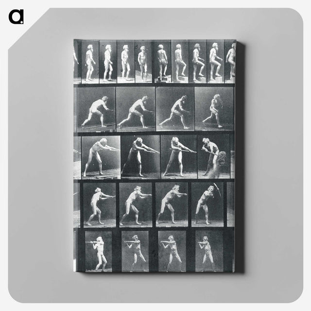 1-95_Eadweard-Muybridge_canvas