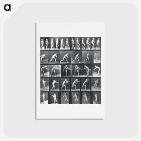 アートポストカード-Action Studies
 - エドワード マイブリッジ Postcard.