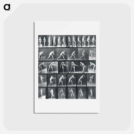 アートポストカード-Action Studies
 - エドワード マイブリッジ Postcard.