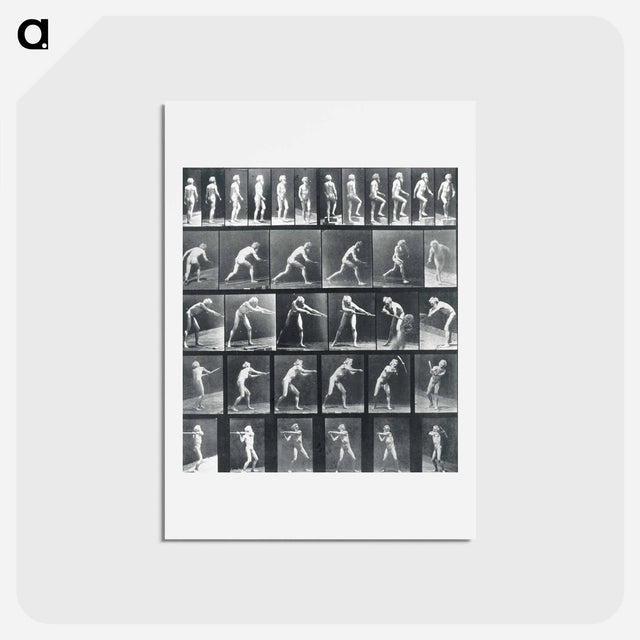 アートポストカード-Action Studies
 - エドワード マイブリッジ Postcard.