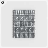 1-95_Eadweard-Muybridge_memo