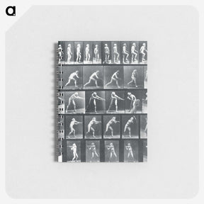 1-95_Eadweard-Muybridge_memo