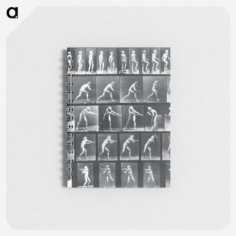 1-95_Eadweard-Muybridge_memo