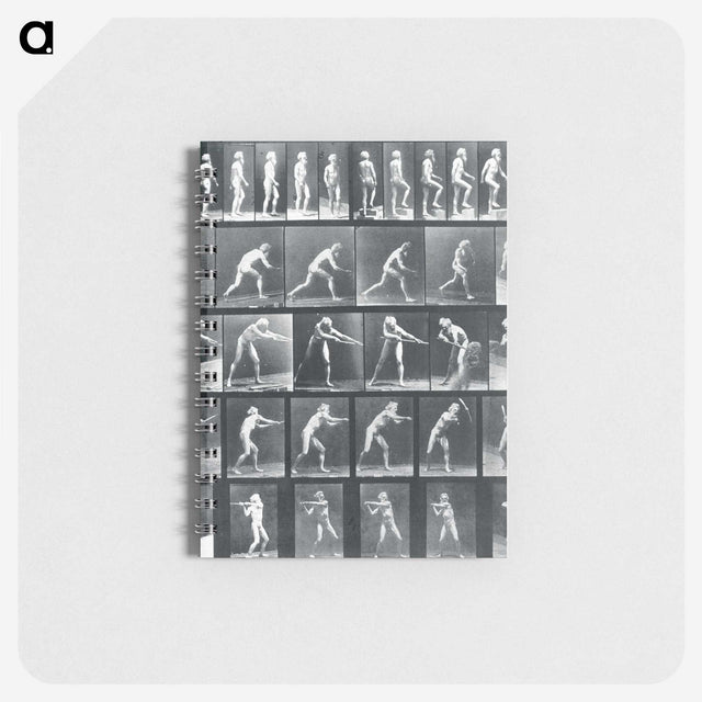 1-95_Eadweard-Muybridge_memo