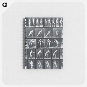 アートメモ帳-Action Studies
 - エドワード マイブリッジ Memo.