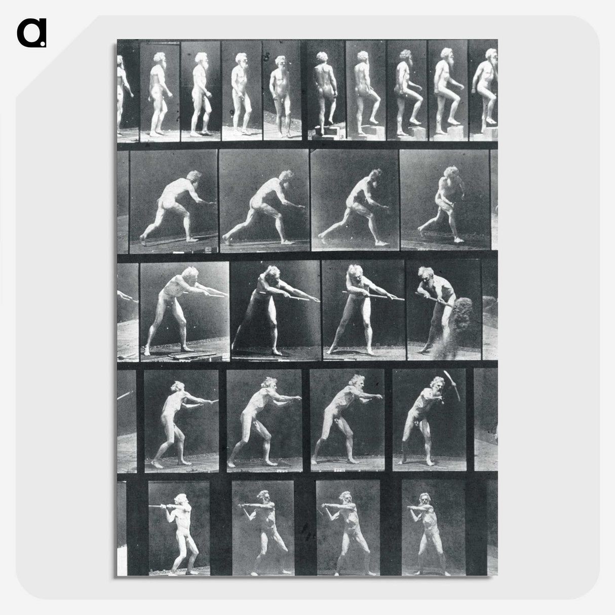 1-95_Eadweard-Muybridge_picture-crop