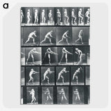 1-95_Eadweard-Muybridge_picture-crop