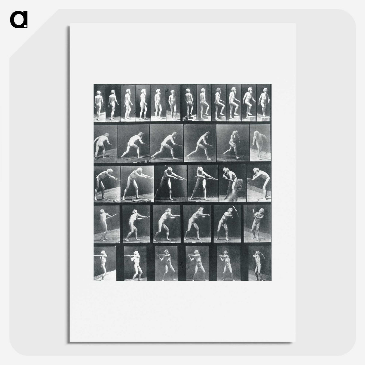 1-95_Eadweard-Muybridge_picture