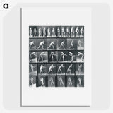 1-95_Eadweard-Muybridge_picture