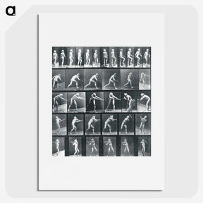 1-95_Eadweard-Muybridge_picture
