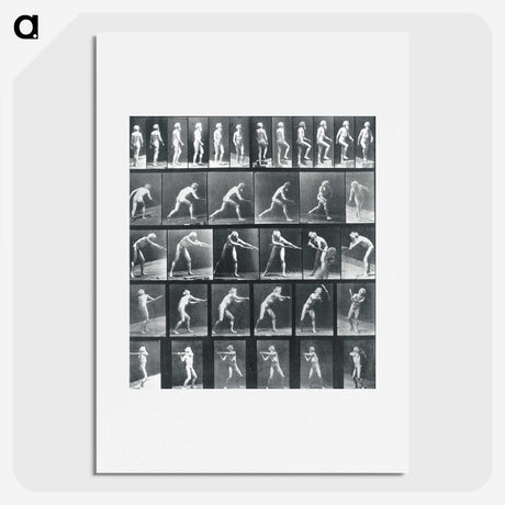 1-95_Eadweard-Muybridge_picture