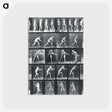 1-95_Eadweard-Muybridge_postcard