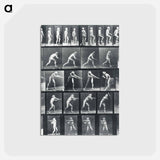 アートポストカード-Action Studies
 - エドワード マイブリッジ Postcard.
