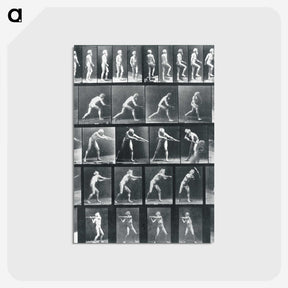 1-95_Eadweard-Muybridge_postcard