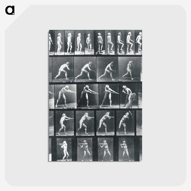 1-95_Eadweard-Muybridge_postcard