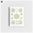 1-95_Ernst-Haeckel_memo