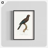 1-95_Francois-Levaillant_blk