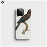 1-95_Francois-Levaillant_phone