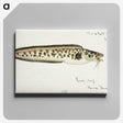 1-95_Frank-Edward-Clarke_canvas