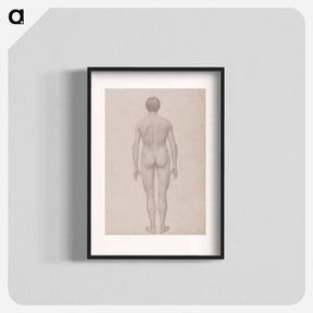 アートポスター-Human Figure, Posterior View
 - ジョージ スタッブス Poster.