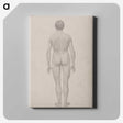 1-95_George-Stubbs_canvas
