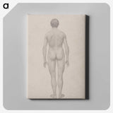 1-95_George-Stubbs_canvas
