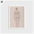 アートポストカード-Human Figure, Posterior View
 - ジョージ スタッブス Postcard.