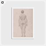 アートポストカード-Human Figure, Posterior View
 - ジョージ スタッブス Postcard.