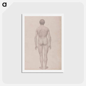 アートポストカード-Human Figure, Posterior View
 - ジョージ スタッブス Postcard.
