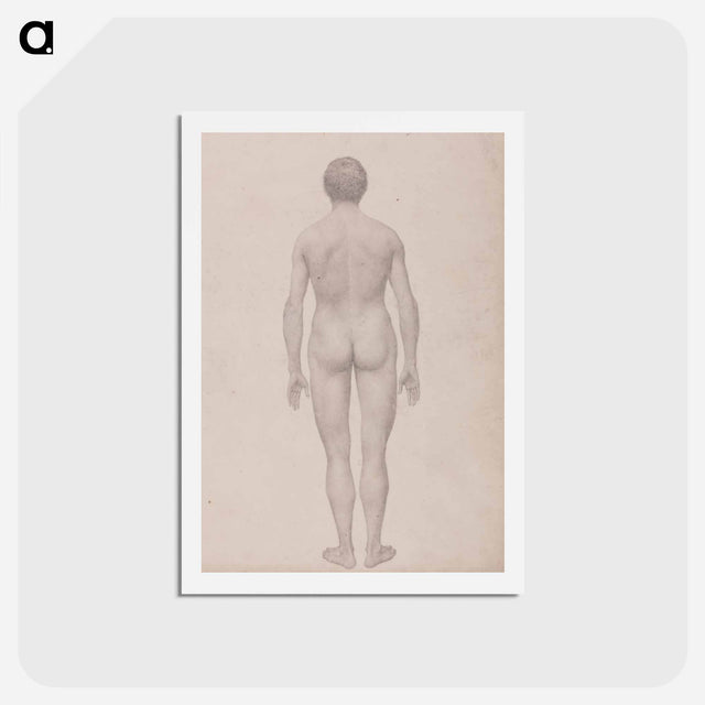 アートポストカード-Human Figure, Posterior View
 - ジョージ スタッブス Postcard.