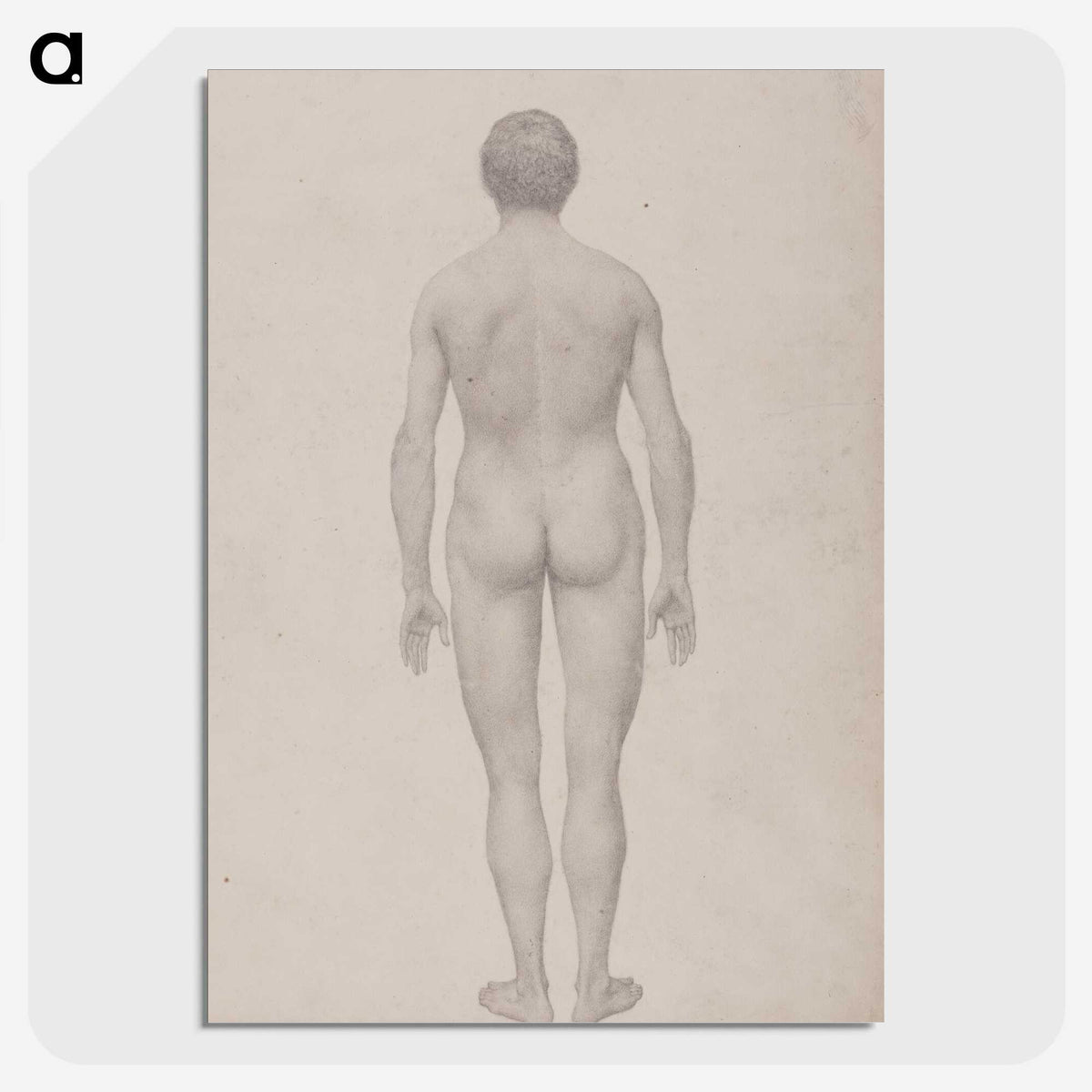 1-95_George-Stubbs_picture-crop