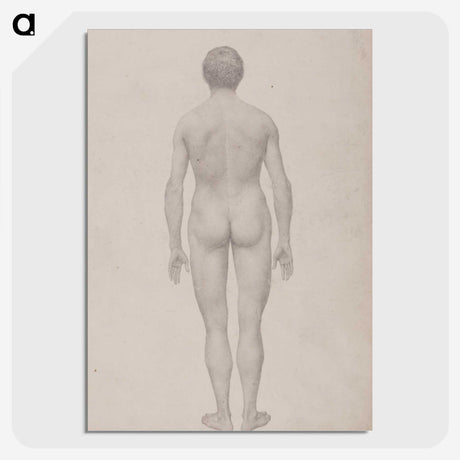 1-95_George-Stubbs_picture-crop