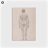 アートポストカード-Human Figure, Posterior View
 - ジョージ スタッブス Postcard.