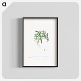 1-95_Histoire-des-Plantes-Grasses_blk