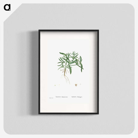 1-95_Histoire-des-Plantes-Grasses_blk
