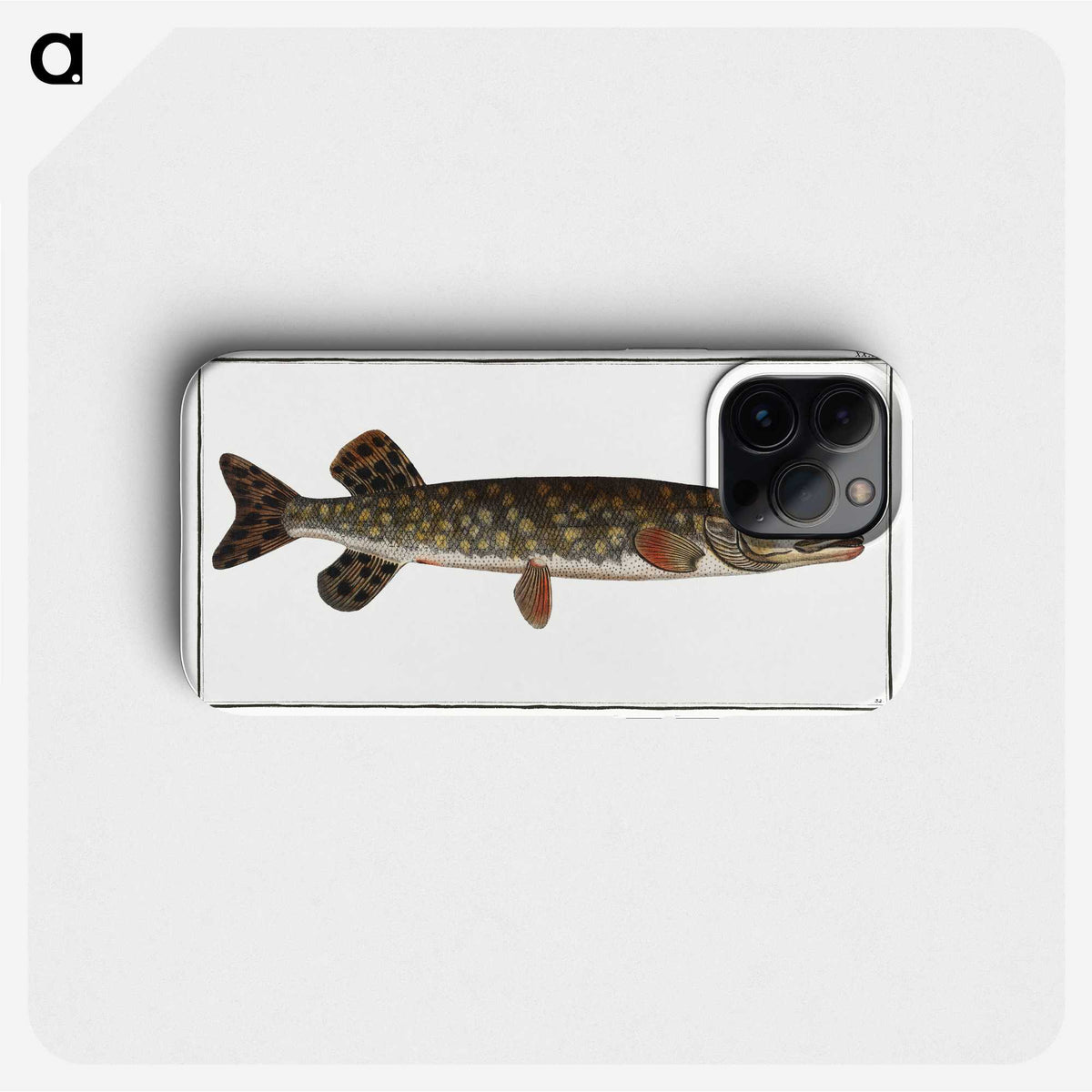1-95_Ichtyologie-ou-Histoire-naturelle_phone
